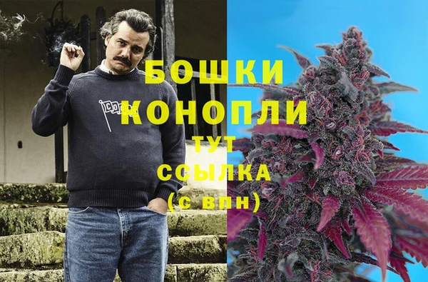 ECSTASY Тихвин