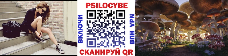 Галлюциногенные грибы Cubensis  ссылка на мегу как войти  Хабаровск  где продают  